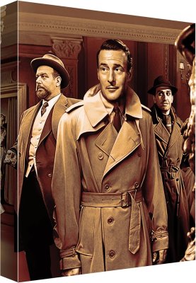 Blood Orange Limited Collectors Edition 4K Ultra HD + Blu-Ray